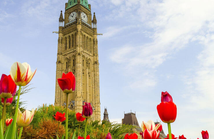 Canada Plans to Restrict the Use of Non-Competes by Federally Regulated Employers